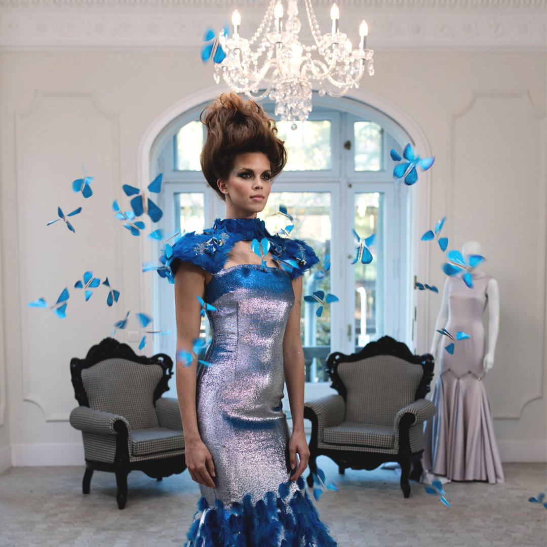 Butterfly Dress & INTEL